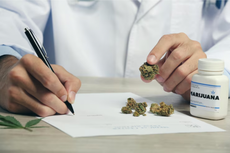 Como Escolher o Melhor Tratamento para Dependente de Drogas e Recorrer à Ajuda Necessária Como Escolher o Melhor Tratamento para Dependente de Drogas e Recorrer à Ajuda Necessária